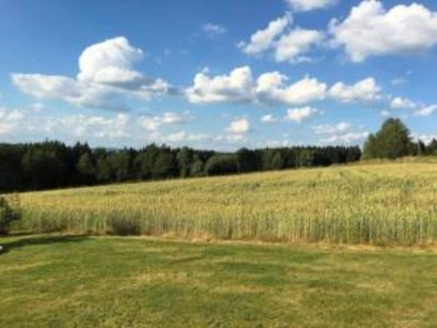 Apartment Holiday Home in Bavaria near Hiking Trails - Environment photo 27