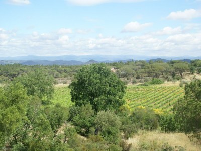 Villa Villa in Vidauban with Private Pool - Environment photo 38