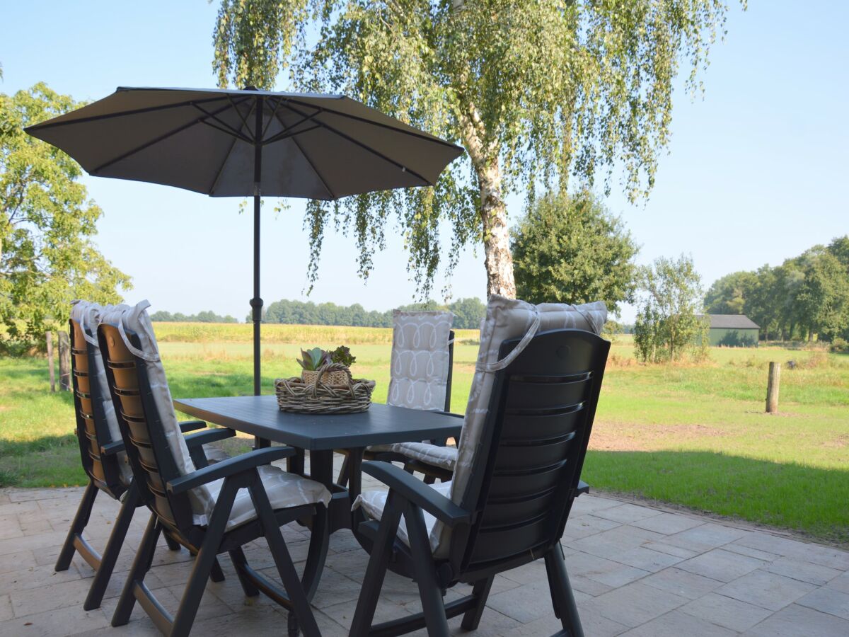 Holiday house Farmhouse in Geesteren near Forests - Outdoor photo 2