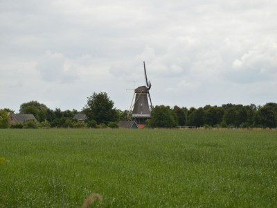 Holiday house Farmhouse in Geesteren near Forests - Environment photo 29
