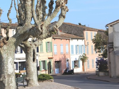 Holiday house Mas de Saint Pierre - Environment photo 35