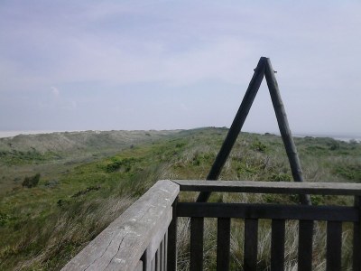 Holiday apartment Lagoon on the Wadden See on Wangerooge - Environment photo 24