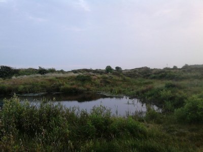 Holiday apartment Lagoon on the Wadden See on Wangerooge - Environment photo 26