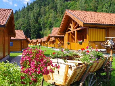 Chalet 1 in Feriendorf Oberreit - Outdoor photo 4
