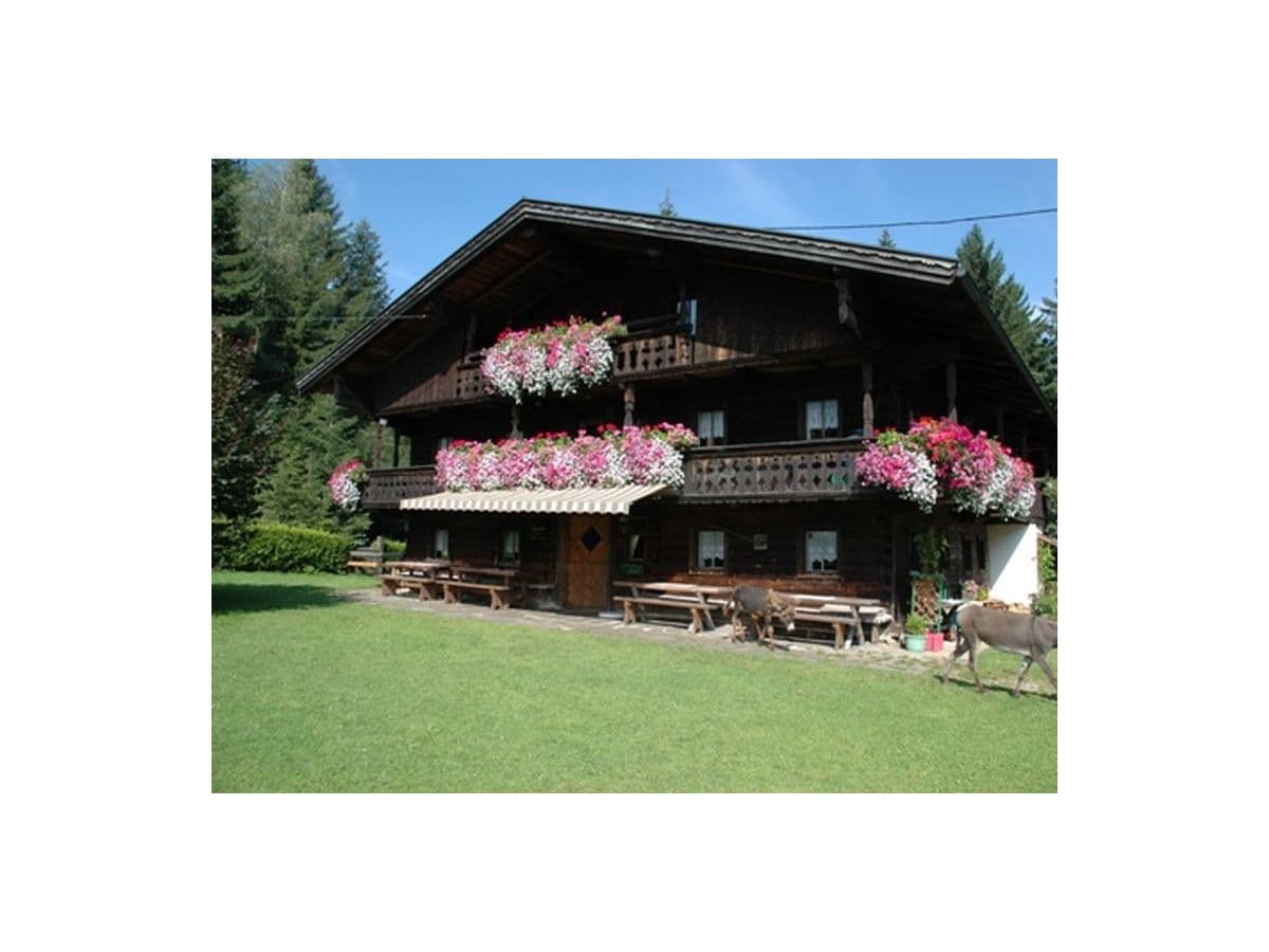 Alpine hut Rahmhof
