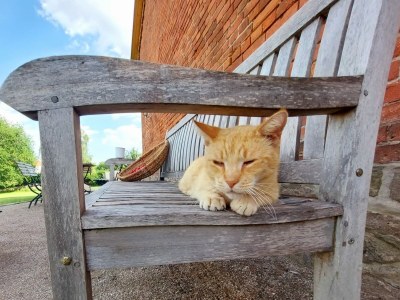 Holiday house At the Old Lübberstorf Manor - Outdoor photo 6