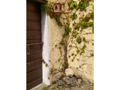 Holiday house Casa Bistini - Rocca Prataia - Outdoor photo 10