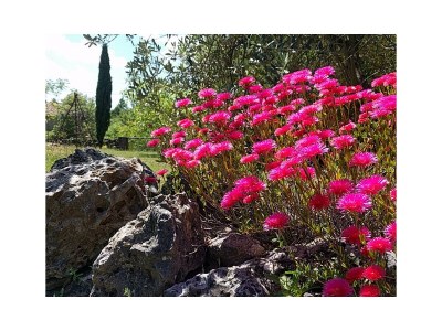 Holiday house Casa Bistini - Rocca Prataia - Outdoor photo 12
