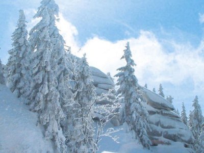 Chalet Chalet Dachstein - Environment photo 13