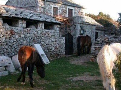 Holiday house Jakov direct on the Sea - Document photo 41