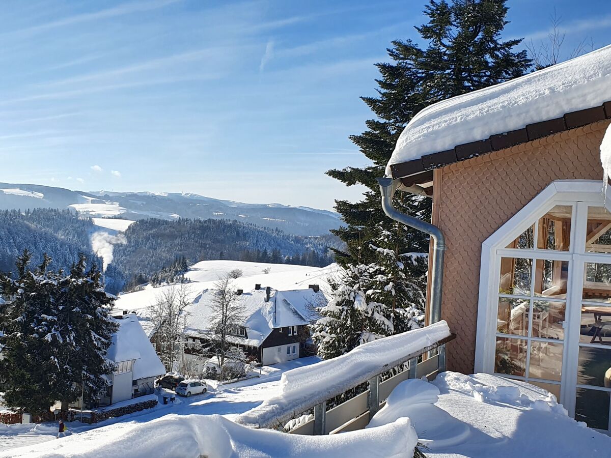 Holiday apartment Landhaus-Apartment Feldbergblick - Outdoor photo 2