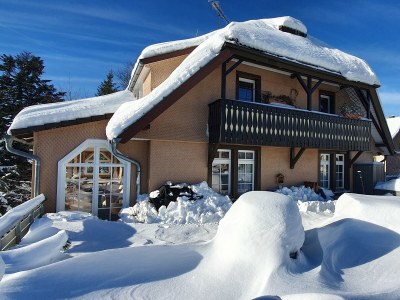 Holiday apartment Landhaus-Apartment Feldbergblick - Outdoor photo 12