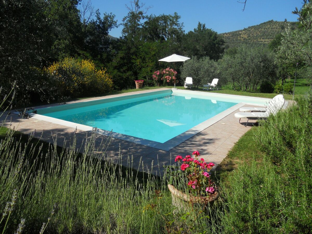 Holiday house Gem�tliches Ferienhaus mit Terrasse - Outdoor photo 3