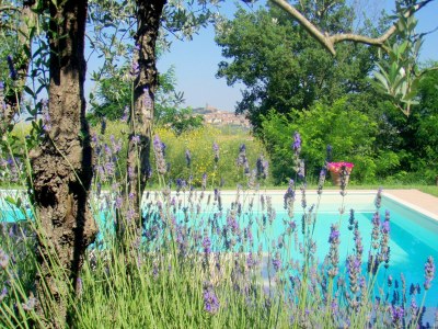 Holiday house Gem�tliches Ferienhaus mit Terrasse in Castiglion Fiorentino - Holiday house