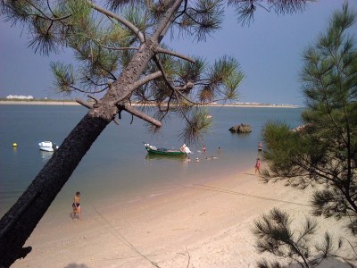 Holiday house Fonte dos Mouros - Environment photo 15