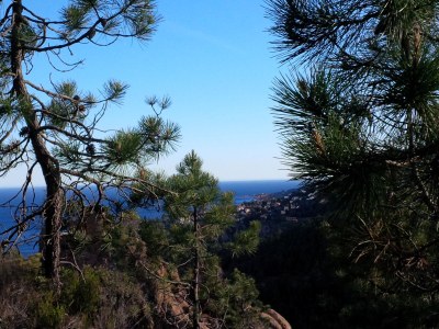 Apartment Les Terrasses de l'Esterel - Environment photo 31