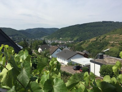 Holiday apartment Panoramablick - Environment photo 14