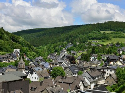 Apartment Modernes Apartment in Willingen mit Balkon - Environment photo 27