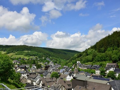 Apartment Modernes Apartment in Willingen mit Balkon - Environment photo 29