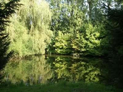 Holiday house Charmantes Chalet mit Garten und Teichblick - Outdoor photo 4