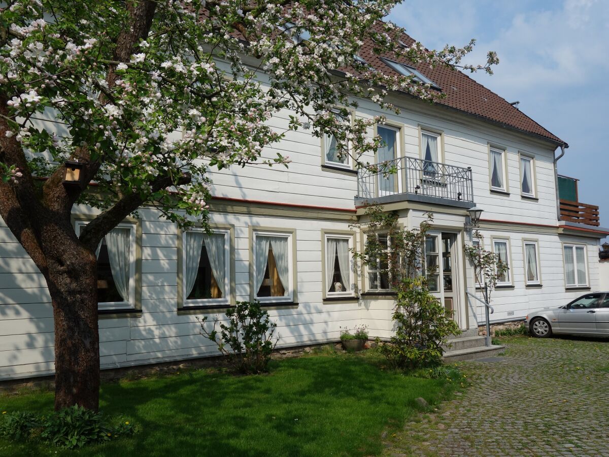 Cottage Harzer Landhaus - Outdoor photo 2