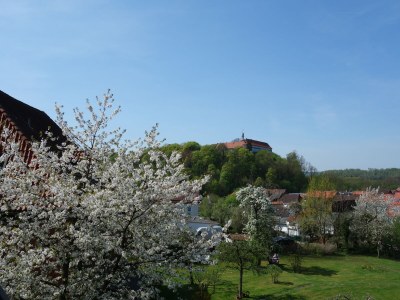 Cottage Harzer Landhaus - Outdoor photo 4