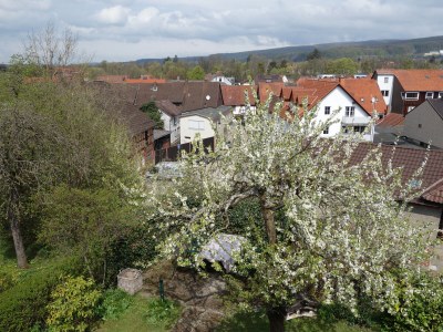 Cottage Harzer Landhaus - Outdoor photo 13