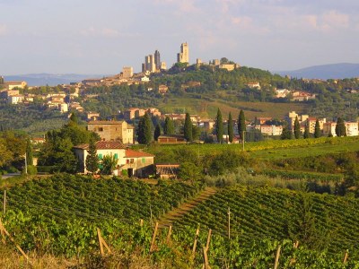 Holiday house La Ginestra - Environment photo 18
