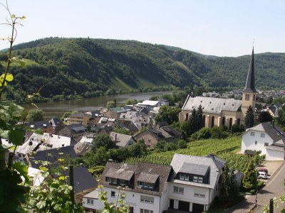 Holiday apartment Guesthouse "Zur Kirchlay" in Kröv - Holiday apartment