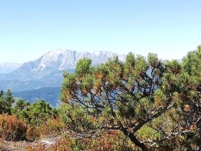 Apartment Chalet in Austria near Ski Slopes & Nature - Environment photo 17