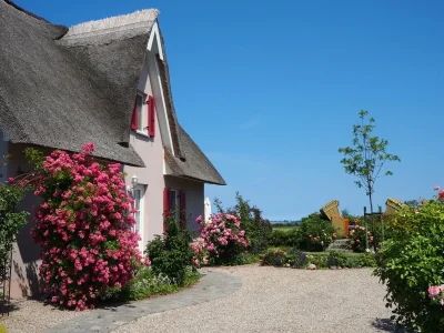 Villa Susi and Strolchis in Zierow - Villa