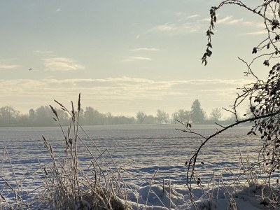 Villa Susi and Strolchis - Environment photo 39