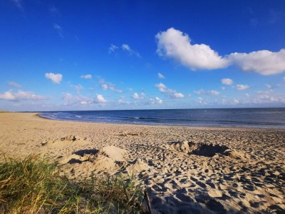 Holiday house Abgeschiedenes Refugium -- By Traum Ferienwohnungen - Outdoor photo 36