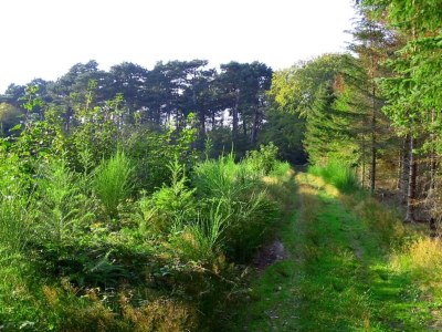 Holiday house Gemutliches Refugium in Marielyst -- By Traum Ferienwohnungen - Outdoor photo 8