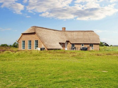 Holiday house 12 Personen Ferienhaus in Ringkøbing-By Traum - Holiday house