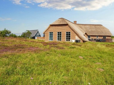 Holiday house 12 Personen Ferienhaus in Ringkøbing-By Traum - Outdoor photo 43