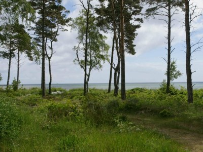 Holiday house 8 person holiday home in Nexø-By Traum - Outdoor photo 13