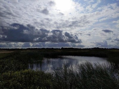 Holiday house Helles Sommerhaus am Meer -- By Traum Ferienwohnungen - Outdoor photo 34