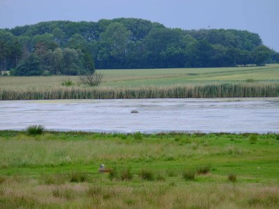 Holiday house Charmante Ruckzug in Marielyst -- By Traum Ferienwohnungen - Outdoor photo 23