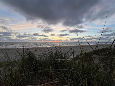 Holiday house 8 person holiday home in Vejers Strand-By Traum - Outdoor photo 33