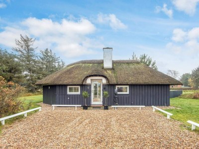 Holiday house Gemutliches Strandhaus in Vejers -- By Traum Ferienwohnungen - Outdoor photo 4