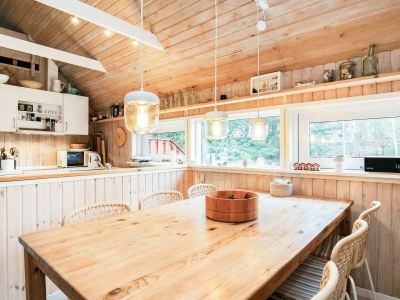 Holiday house 7 Personen Ferienhaus in Skagen-By Traum - Outdoor photo 4