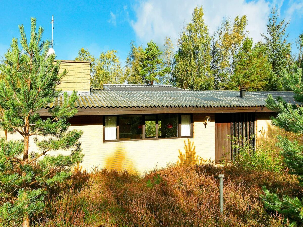 Holiday house Tranquil Retreat near Beach - By Traum Ferienwohnungen - Outdoor photo 3