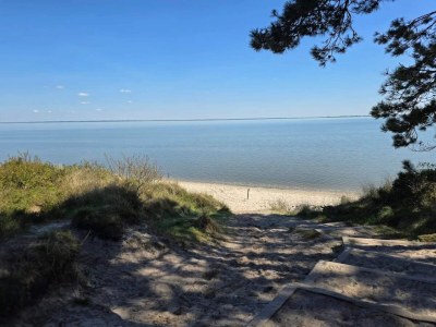 Holiday house Seaside holiday home with Ocean View - Outdoor photo 32