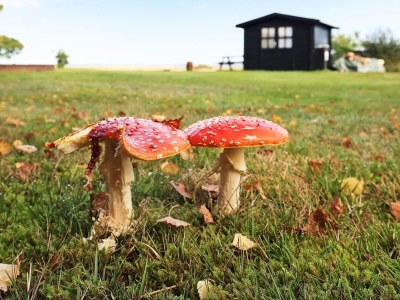 Holiday house 6 person holiday home in Højslev-By Traum - Outdoor photo 2