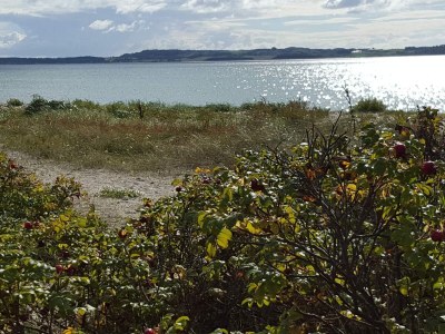 Holiday house Panoramisches Refugium in Ebeltoft -- By Traum Ferienwohnungen - Outdoor photo 35