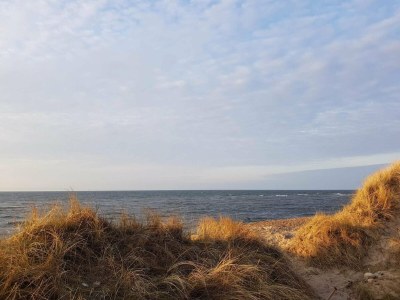 Holiday house 8 person holiday home in Frøstrup-By Traum - Outdoor photo 27