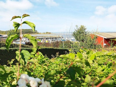 Holiday house Marina Ruckzug in Aero -- By Traum Ferienwohnungen - Outdoor photo 33