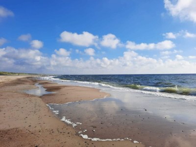 Holiday house Secluded Retreat in Nature - By Traum Ferienwohnungen - Outdoor photo 29