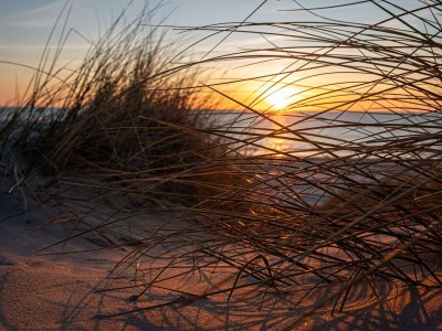 Holiday house Panoramablick am Meer -- By Traum Ferienwohnungen - Outdoor photo 33